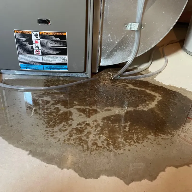 Appliance Leak Cleanup in Shady Spring, WV
